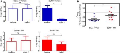 Tetrathiomolybdate Treatment Attenuates Bleomycin-Induced Angiogenesis and Lung Pathology in a Sheep Model of Pulmonary Fibrosis